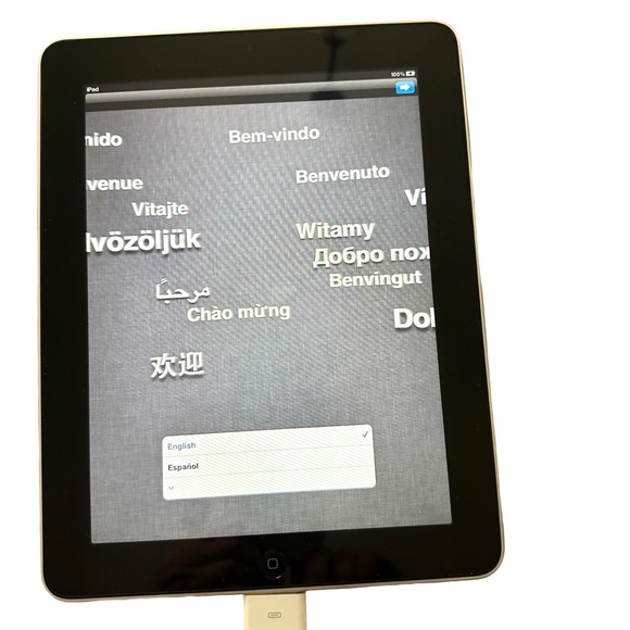 Apple A1219 iPad 1st Gen 16GB WiFi Silver and Black with Charging Cord - Picture 4 of 6